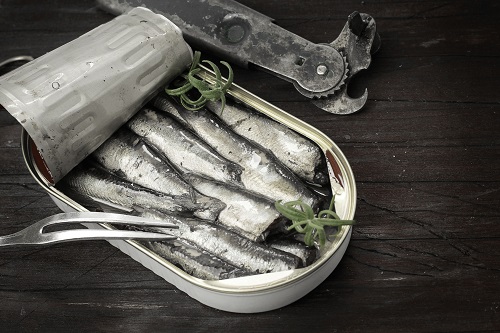Reduced mackerel landings, but herring and anchovy look stronger