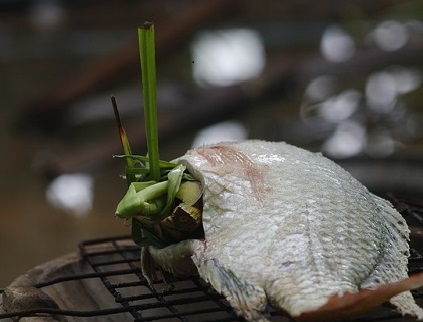 Lower tilapia sales to the United States of America expected for 2019